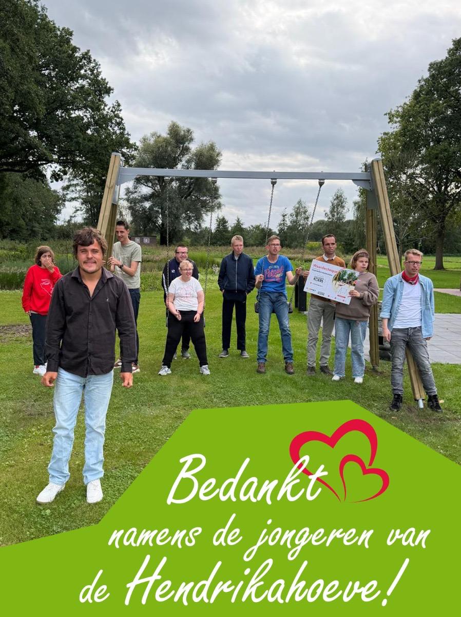 De gerealiseerde aangepaste schommel